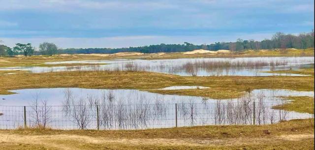 Hilversums Wasmeer …